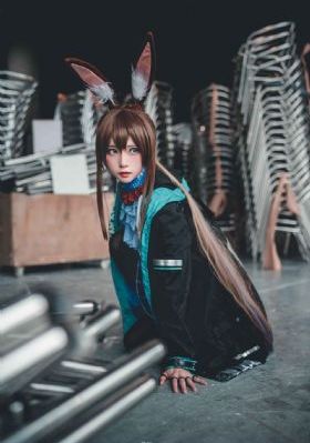 车标